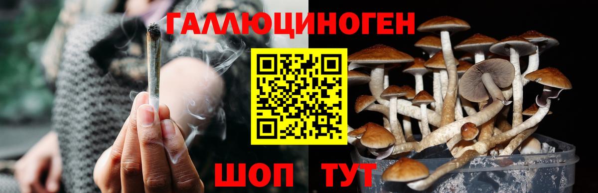 Галлюциногенные грибы Cubensis Унеча