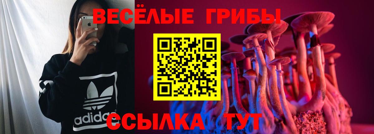 Галлюциногенные грибы Psilocybe  Вход с VPN  Унеча 